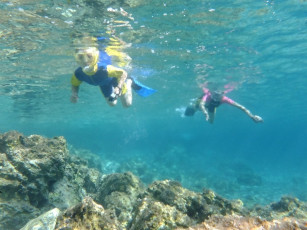 discover-snorkeling-13