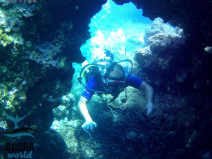 discover-snorkeling-79